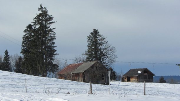 Schneeschuhwanderung vorbei an Hütten