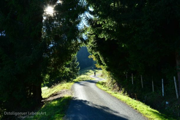 1-weg-zur-huendlekopfhuette-pfronten