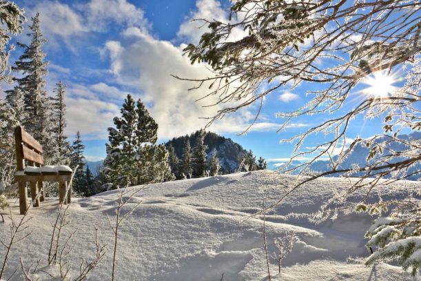 12. Falkenstein Sonnenbank