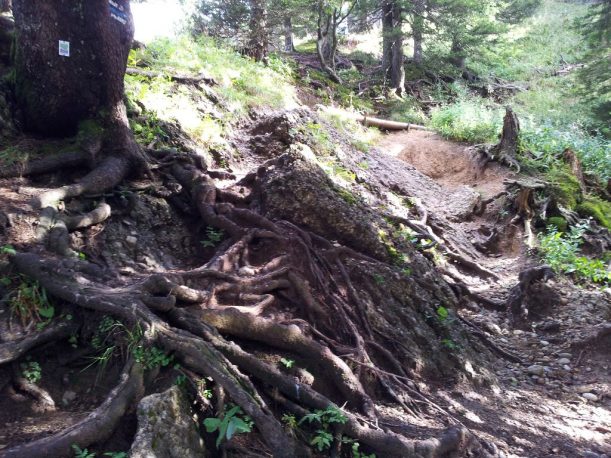 Wanderweg mit Waldpassagen