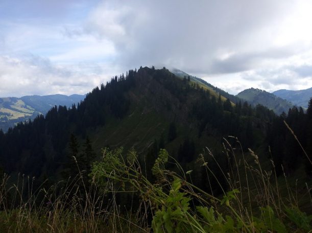 Wanderweg - Ausblick auf Hochgrat