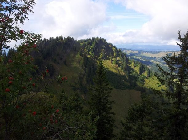 Blick auf Eineguntkopf - Wanderweg