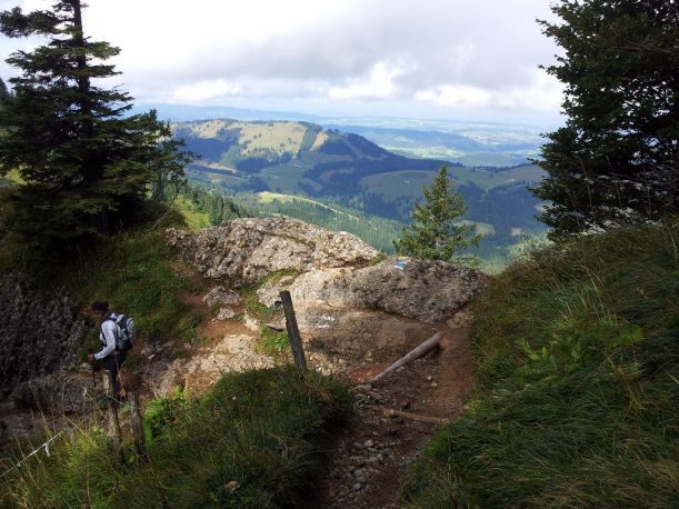 Wanderweg bergab zum Eineguntkopf