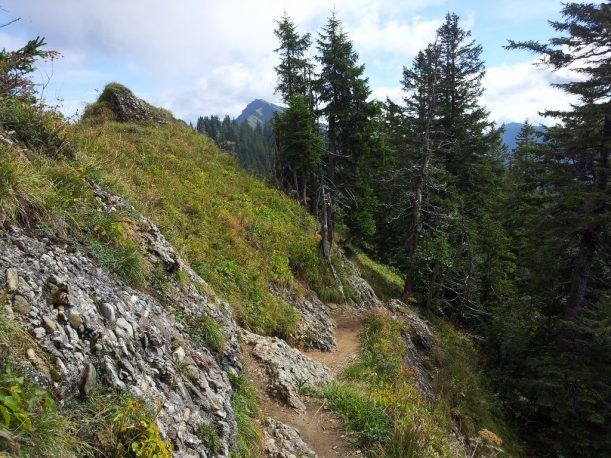 Wanderweg mit Blick zurück auf den Hochgrat