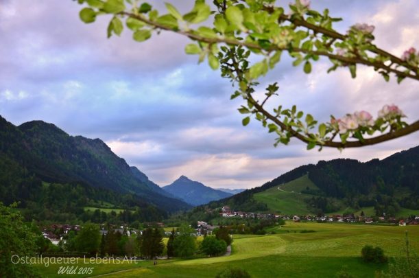 2.Berger-Hörnle-Blick-Röfleuten