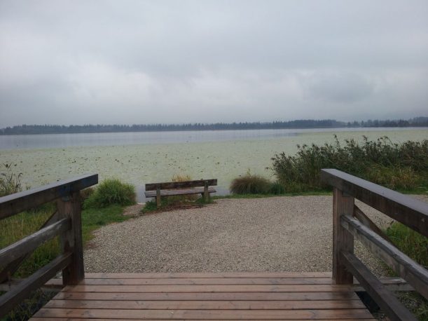 Blick auf den Hopfensee im Allgäu