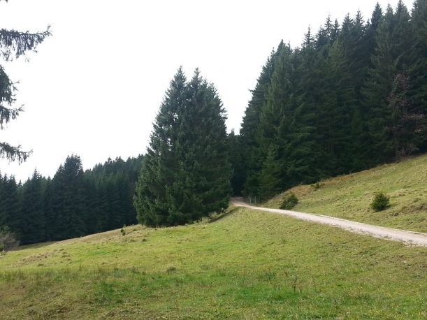 Wanderweg zur Dinserhütte