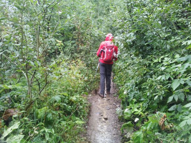 Meditatives Wandern im Allgäuer Regenwald, das Wasser lässt auch die Gedanken fließen.