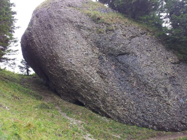 Nagelfluhfelsen am Wanderweg