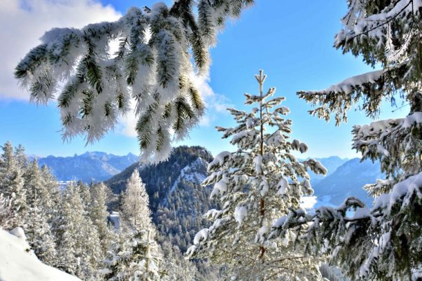 4. Falkenstein Blick Füssen Winterzauber