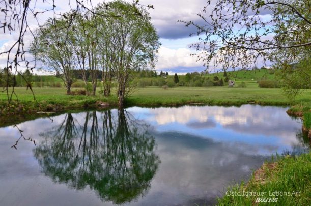 4.Berger-Weiher