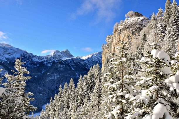 6. Falkenstein Winter an der Ruine Pfronten