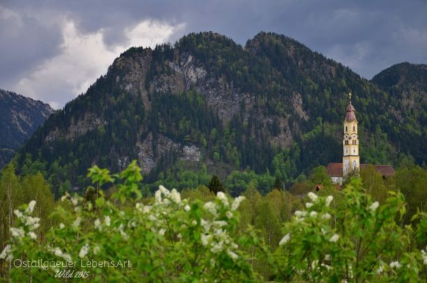 7.-Berger-Moos-Blick-Kirche-Flieder