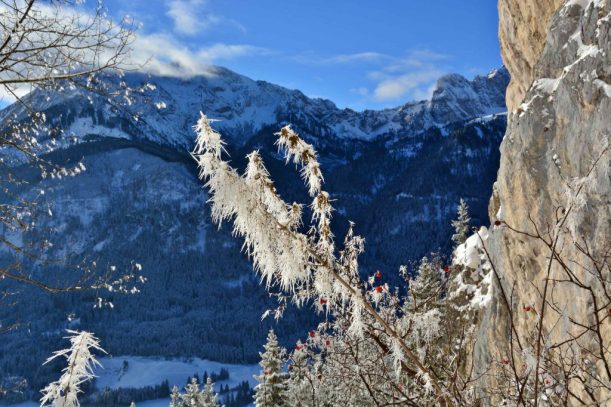 7. Falkenstein Frostblumen an der Mariengrotte Blick Aggenstein