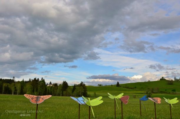 8.-Berger-Moos-Schmetterlinge