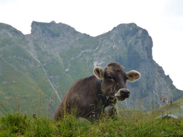 Abendliche Ruhe an der Berghütte