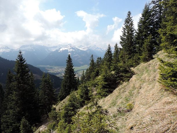 Aussicht übers Tannheimer Tal, Tirol