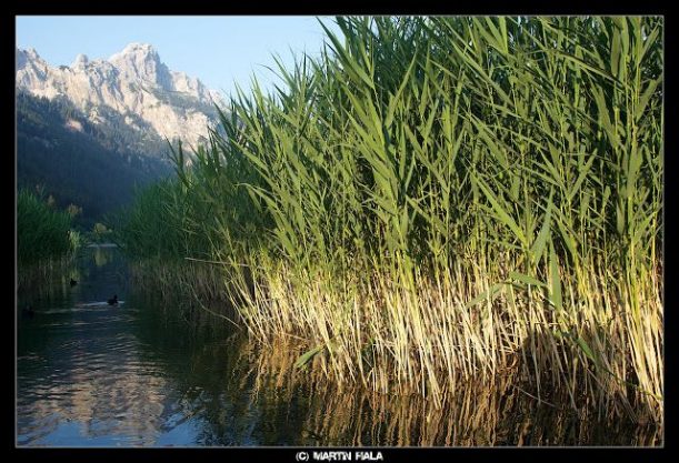 Allgäu-Kajak-Haldensee (4)