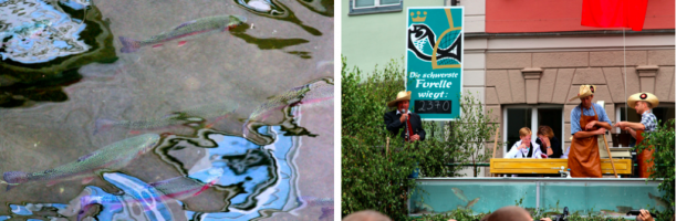 Kultur, Stadtgeschichte, Veranstaltungen