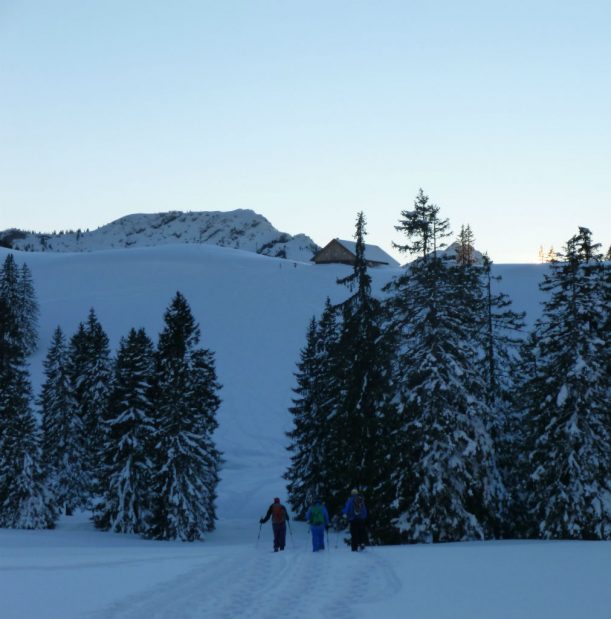 Alpe Mittelberg nun schon ganz nah