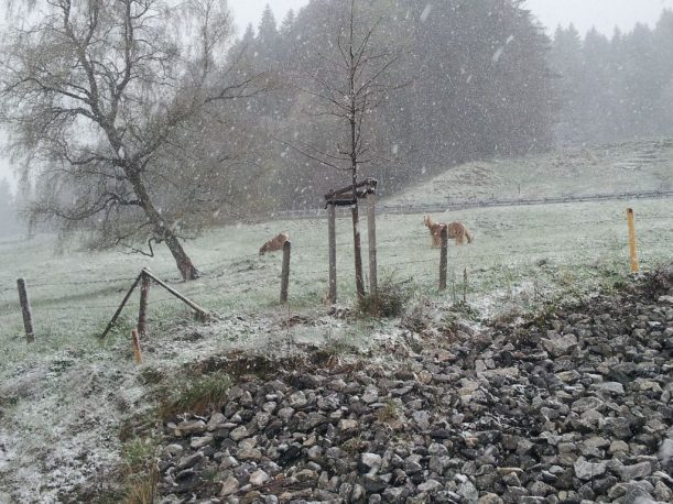 Kühbergalpe im Allgäu