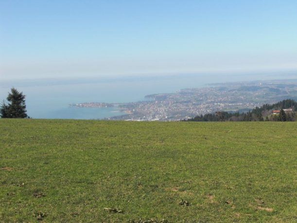 Bodensee Panorama