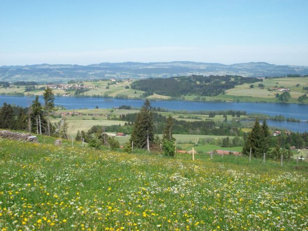 Im Allgäu unterwegs von Oy-Mittelberg nach Rettenberg