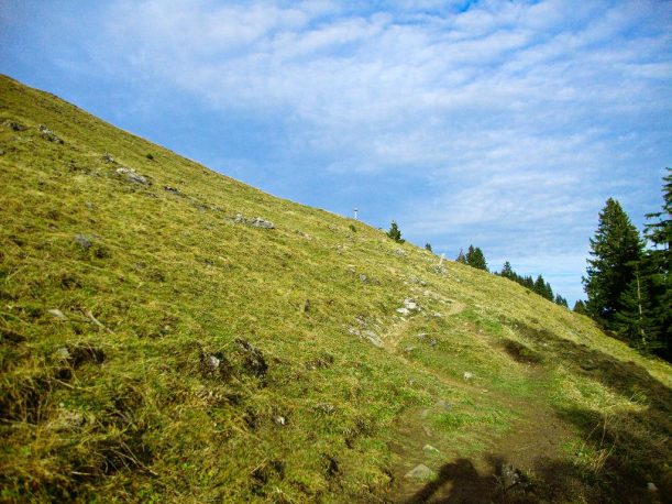 Auf der Suche nach dem Gipfelkreuz des Ornach am Ende des Wanderwegs