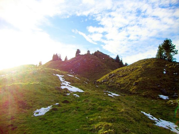 Grasbewachsener Weg vom Ornach auf den Gipfel des Jochschrofen