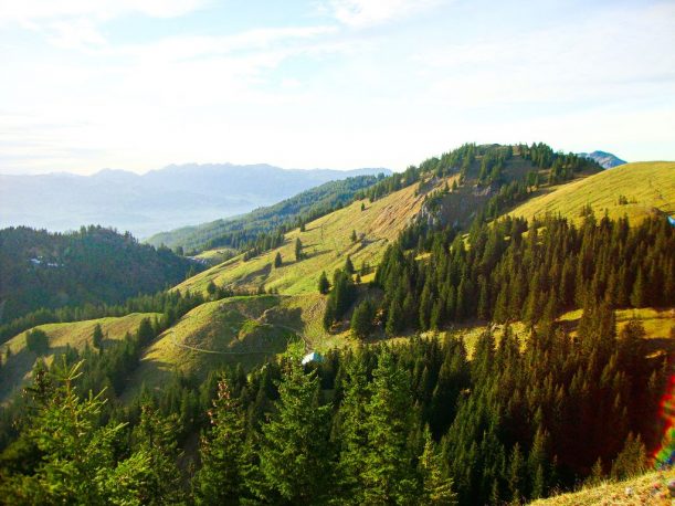 Aussicht auf den 1.649 m hohen Spieser und den Hirschberg (links)