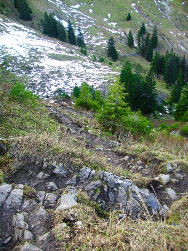 Der steile und steinige Weg vom Ornach ins Tal zur Hirsch-Alpe