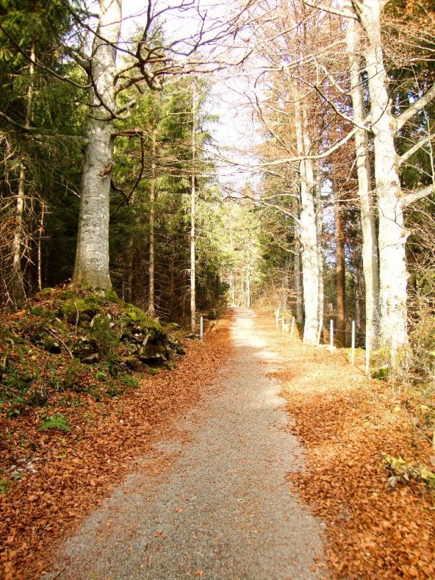 Wanderweg auf den Ornach mit buntem Herbstlaub