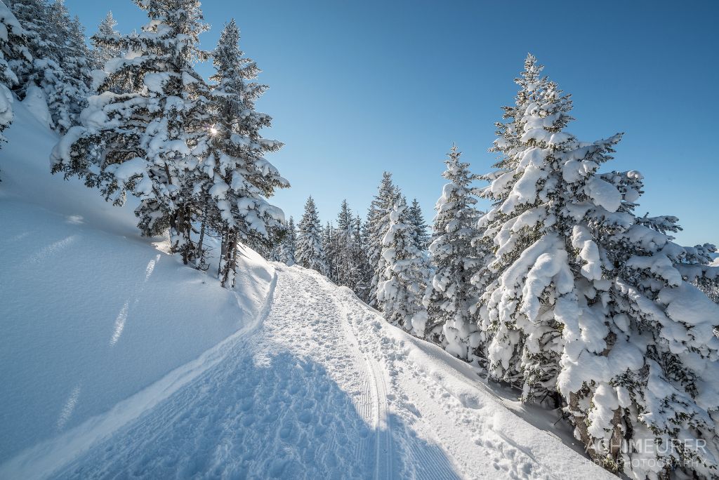 Winterwandern in Tirol