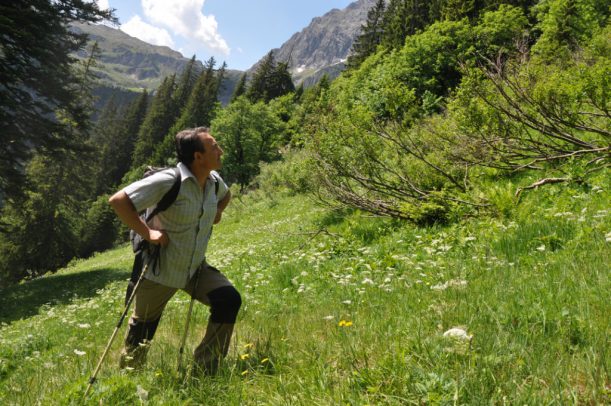 Wandern, Wanderweg, Wanderung, Wanderroute, Bergsteigen