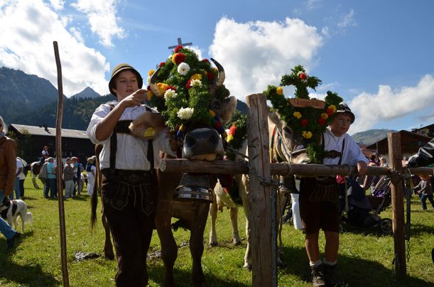 Kleinhirten mit Ihren geschmückten Kühen