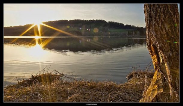 Grüntensee Biber