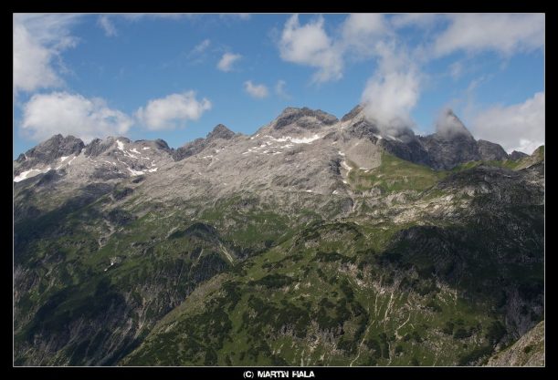 Vegetation der Allgäuer Berge 