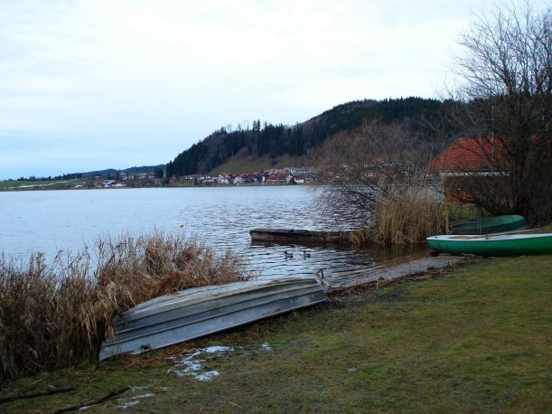 Blick auf Hopfen am See