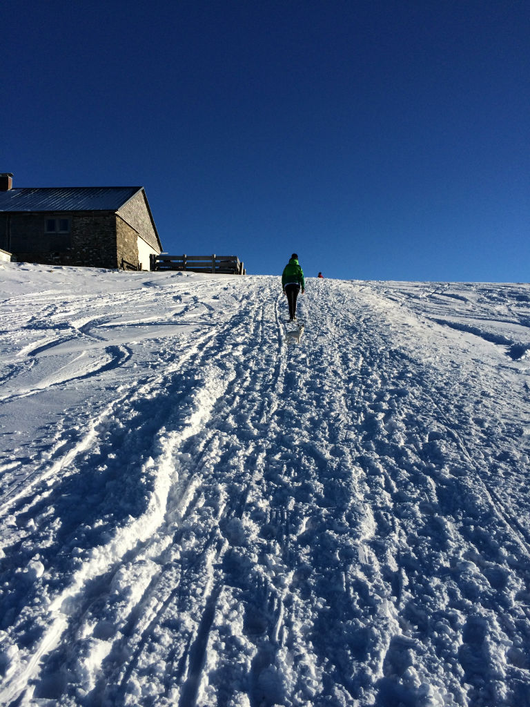 Schneebedeckter Wanderweg am Grünten in den Allgäuer Alpen