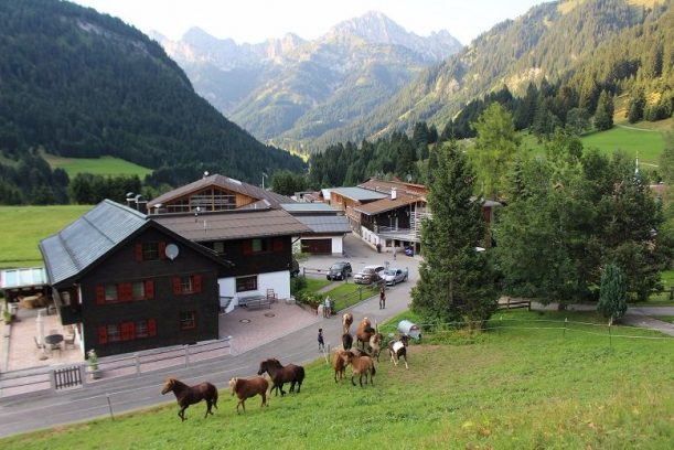 Reiterhof Berggut Gaicht im Tannheimer Tal, Tirol