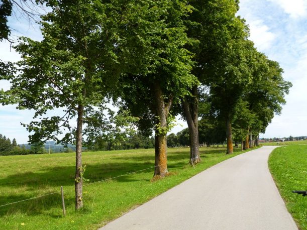 Radweg, Radfahren, Radtour, Radroute