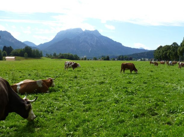 Radtour, Radfahren, Radweg, Radroute