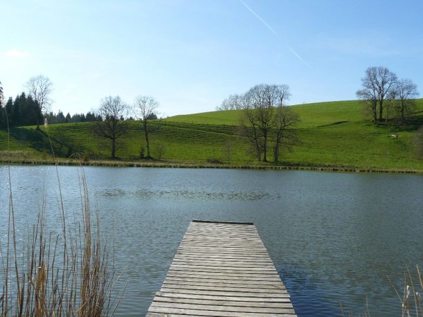 Wanderung zum Hengelesweiher in Maierhöfen