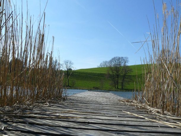 Wanderweg vorbei am Holzsteg des Hengelesweihers in Maierhöfen