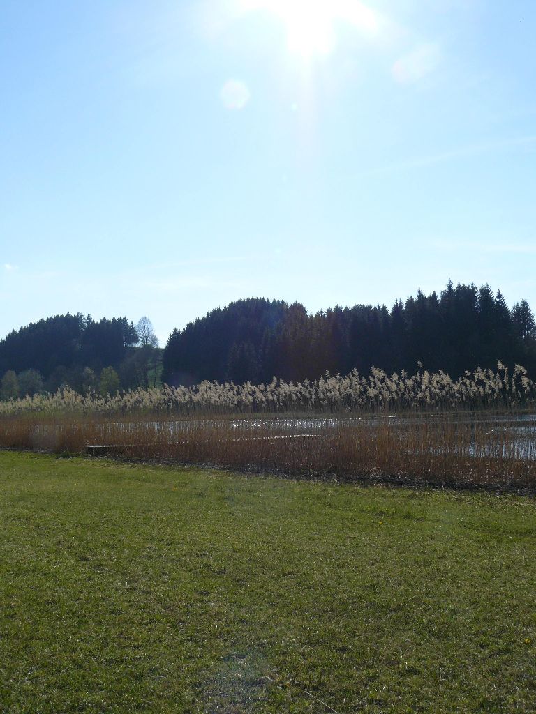 Wanderung zum Hengelesweiher in Maierhöfen