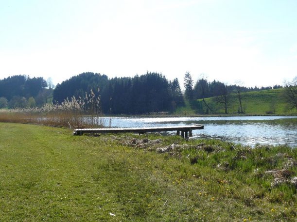 Aussicht beim Wandern zum Hengelesweiher in Maierhöfen