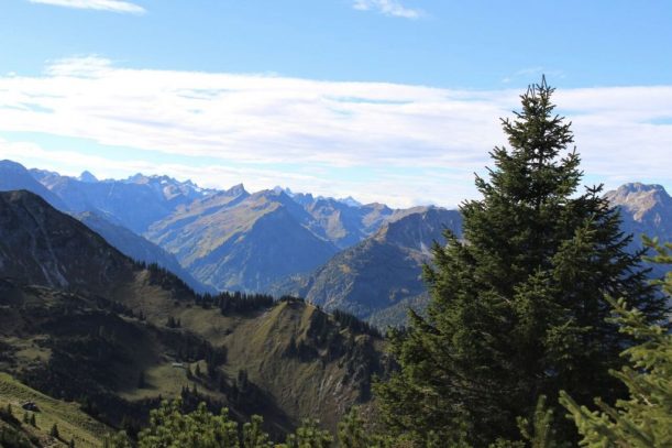 panorama allgäuer alpen und tannheimer berge