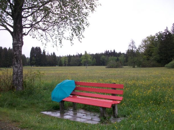 Verregneter Tag im Allgäu