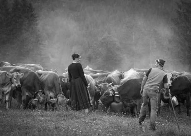 viehscheid_hindelang_20160909_0081_1