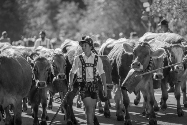 viehscheid_hindelang_20160909_0251_1